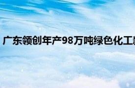 广东领创年产98万吨绿色化工新材料项目动工，总投资25.6亿元