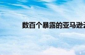 数百个暴露的亚马逊云备份发现泄漏敏感数据