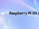 Raspberry Pi OS 获得旧版本以提供扩展稳定性