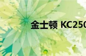 金士顿 KC2500 SSD设计如何