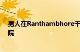 男人在Ranthambhore干扰交配的老虎愤怒的猫送他去医院