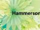 Hammerson雇用新的首席开发官