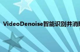 VideoDenoise智能识别并消除颗粒和数字噪点让镜头呈现清新