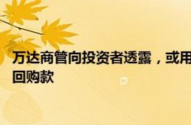 万达商管向投资者透露，或用一笔贷款来支付部分PreIPO的股权回购款