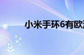 小米手环6有欧洲买不到的豪华版