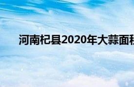 河南杞县2020年大蒜面积达70万亩 年产大蒜96万吨