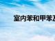 室内苯和甲苯及二甲苯的来源及危害