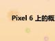 Pixel 6 上的概览小部件即将变得更好