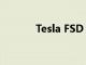 Tesla FSD 10.5拥有多项改进