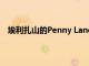 埃利扎山的Penny Lane搬迁的爱德华七世时代寄予厚望