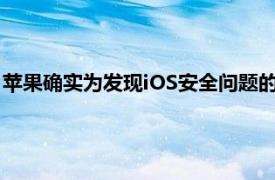 苹果确实为发现iOS安全问题的研究人员提供了一个Bug赏金计划