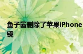 鱼子酱删除了苹果iPhone 12 Pro的摄像头使其成为隐形眼镜