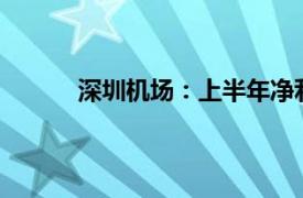 深圳机场：上半年净利润1.74亿元，同比扭亏