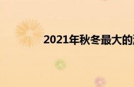 2021年秋冬最大的流行趋势你可以真正穿