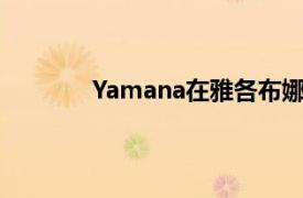 Yamana在雅各布娜提高了储备和储备等级