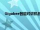 Gigabee智能对讲机目前在小米众筹中的售价为399元