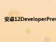 安卓12DeveloperPreview2.2现在正在向像素设备推广