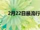 2月22日最流行和最不流行的汽车颜色