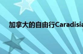 加拿大的自由行Caradisiac Drive-加利福尼亚大众6.1