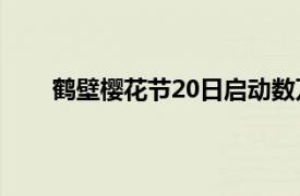 鹤壁樱花节20日启动数万株樱花绽放迎海内外游客