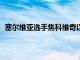 塞尔维亚选手焦科维奇以3比1战胜选手贝雷蒂尼晋级四强