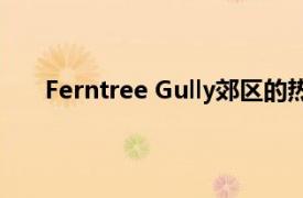 Ferntree Gully郊区的热带天堂住宅超过100万美元