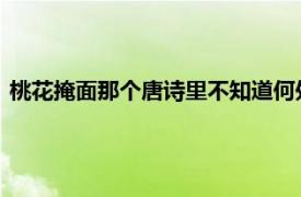 桃花掩面那个唐诗里不知道何处去的人空留一窗桃花独对桃花酿