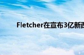 Fletcher在宣布3亿新西兰元股票回购后建立股价