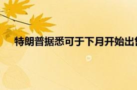 特朗普据悉可于下月开始出售特朗普媒体与科技集团的股票