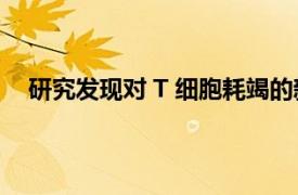 研究发现对 T 细胞耗竭的新见解可以改善癌症免疫疗法