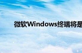 微软Windows终端将是Windows上的默认命令行