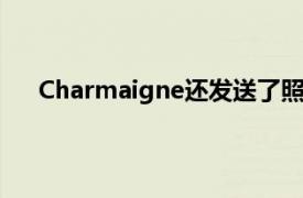 Charmaigne还发送了照片中的屏幕截图来说明问题。