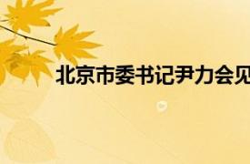 北京市委书记尹力会见新加坡淡马锡公司董事长