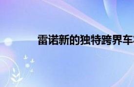 雷诺新的独特跨界车将被命名为雷诺Arkana