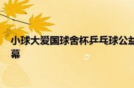 小球大爱国球舍杯乒乓球公益联赛天津站在天津滨海新区圆满落幕