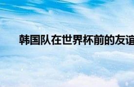 韩国队在世界杯前的友谊赛中对阵哥斯达黎加喀麦隆