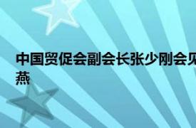 中国贸促会副会长张少刚会见美国联邦快递公司中国区总裁许宝燕