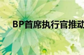 BP首席执行官推动可再生能源投资增长