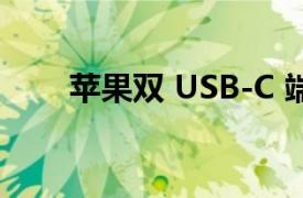 苹果双 USB-C 端口电源适配器泄漏