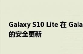 Galaxy S10 Lite 在 Galaxy S10 之前获得 2022 年 11 月的安全更新