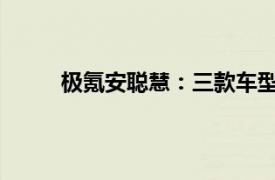 极氪安聪慧：三款车型一年内不会再有年款迭代