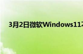 3月2日微软Windows11不值得憎恨但微软需要做更多