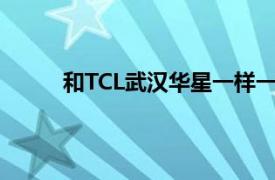 和TCL武汉华星一样一批高新技术企业逆势成长