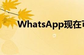 WhatsApp现在可让您下载基本文件