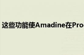 这些功能使Amadine在ProductHunt上获得了完美的评价