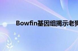 Bowfin基因组揭示老狗鱼可以教研究人员新技巧