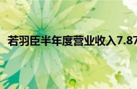 若羽臣半年度营业收入7.87亿元，自有品牌同比增长67%