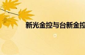 新光金控与台新金控将以换股方式进行合并