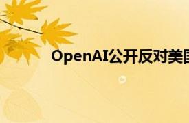 OpenAI公开反对美国加州人工智能安全法案