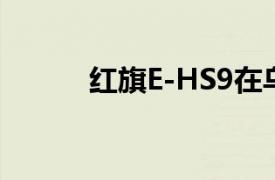 红旗E-HS9在乌兹别克斯坦上市